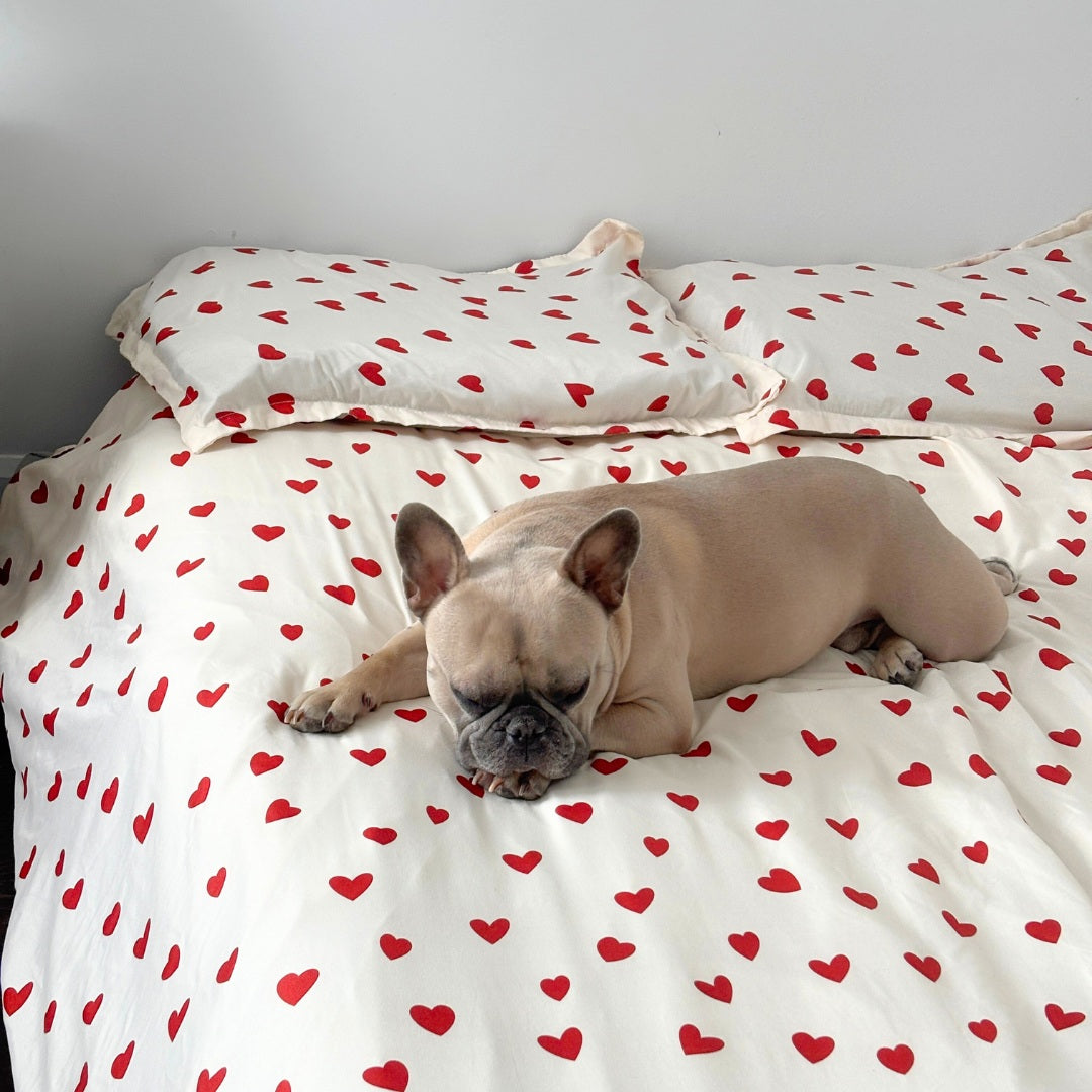 French Bulldog on heart-patterned bedding